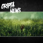CriptaNews – In The Tall Grass